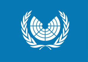 The proposal of a UN Parliamentary Assembly